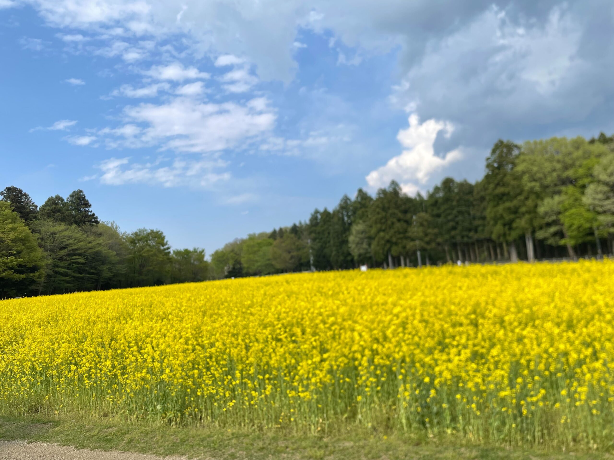 プロフィール背景画像